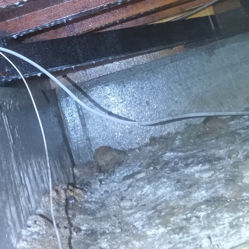 床下の土壌にシロアリ駆除剤を散布した様子