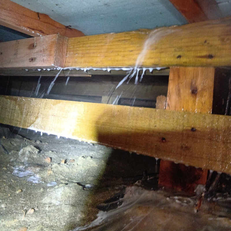 床下の木材にシロアリ駆除剤を散布する様子