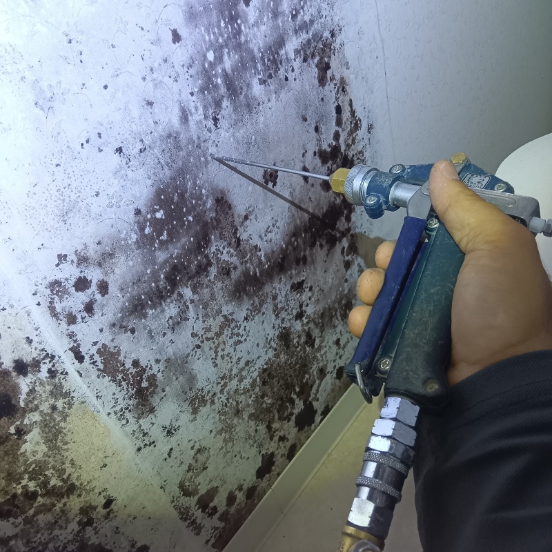 洗面所の壁にシロアリ駆除剤を注入する様子