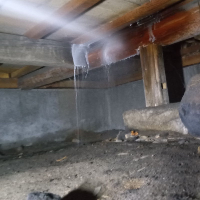 床下の木材にシロアリ駆除剤を散布する様子
