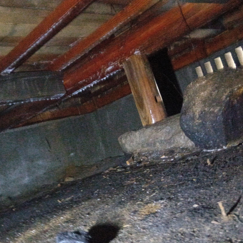 床下の基礎部分にシロアリ駆除剤を散布した様子