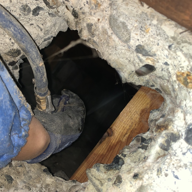 築年数45年のシロアリ駆除の施工事例（滋賀県守山市今浜町）