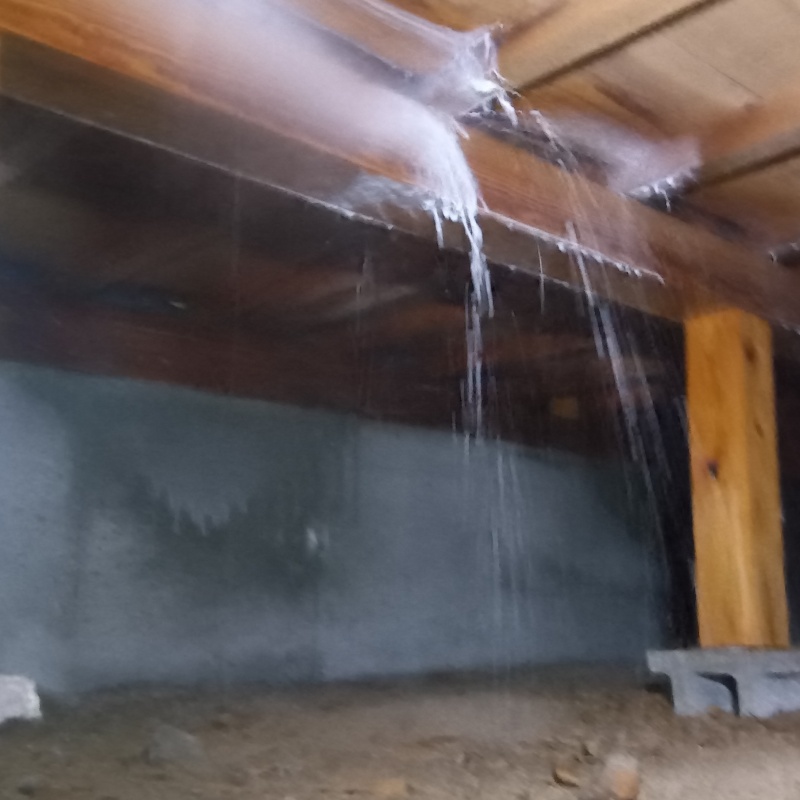 床下の木材にシロアリ駆除剤を散布する様子