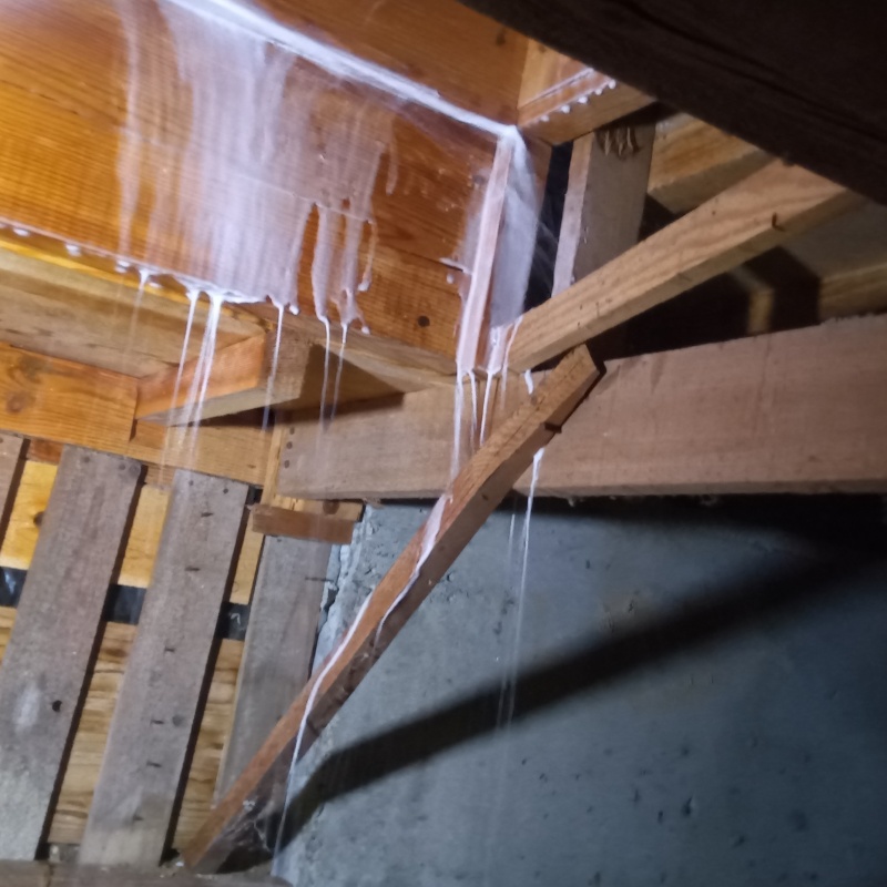 床下の木材にシロアリ駆除剤を散布する様子