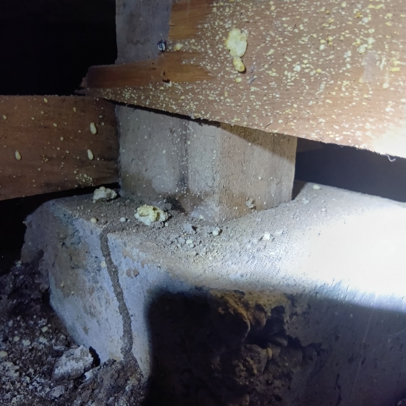 築年数36年のシロアリ駆除の施工事例（富山県富山市上冨居）