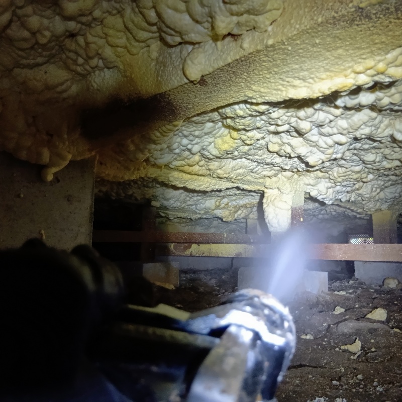 床下の木材にシロアリ駆除剤を散布する様子