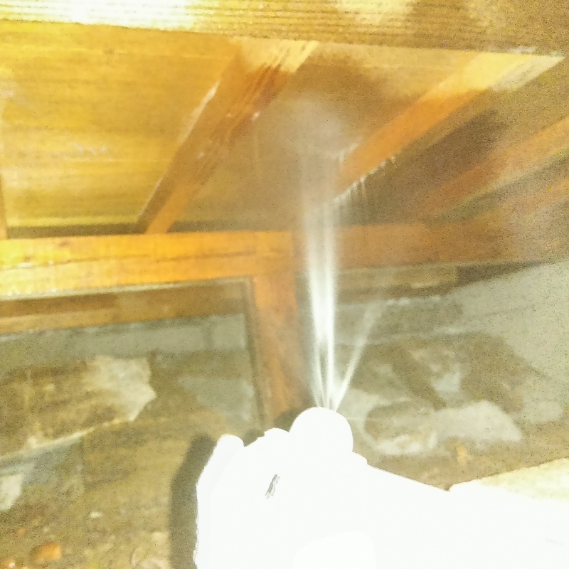 床下の木材にシロアリ駆除剤を散布する様子