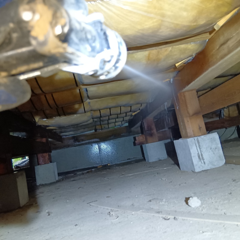 床下の木材にシロアリ駆除剤を散布する様子