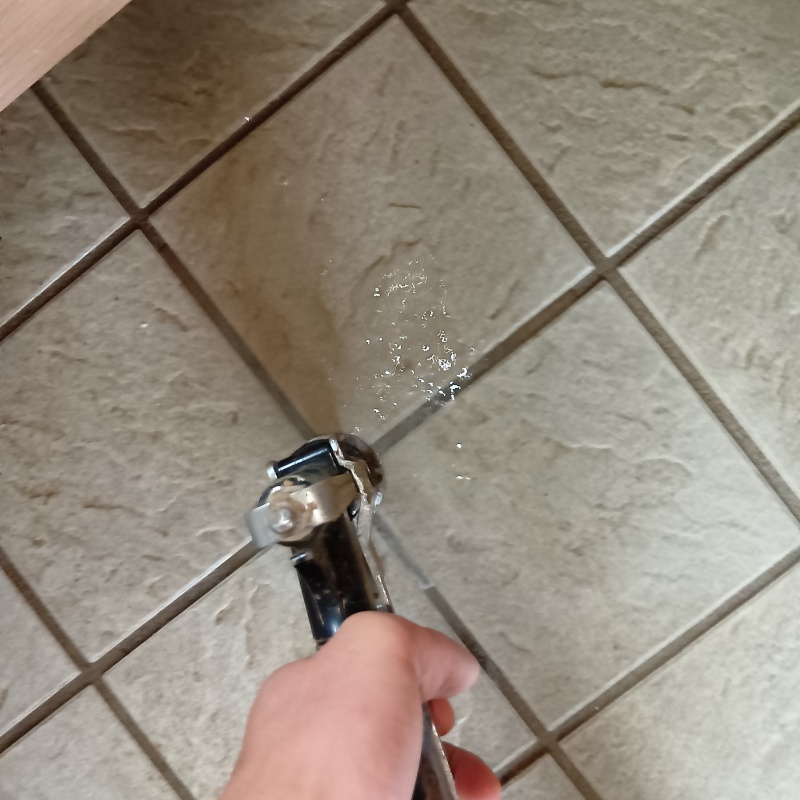 玄関の床にシロアリ駆除剤を注入する様子