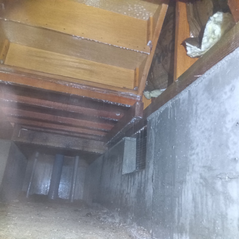 築年数34年のシロアリ駆除の施工事例（広島県広島市安佐南区0）