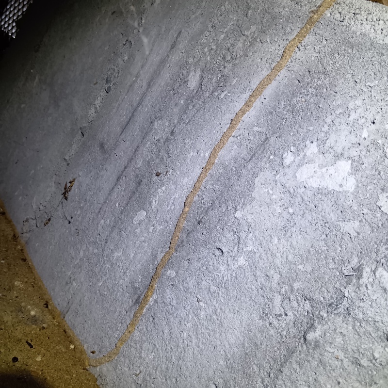 築年数50年のシロアリ駆除の施工事例（富山県高岡市北島）