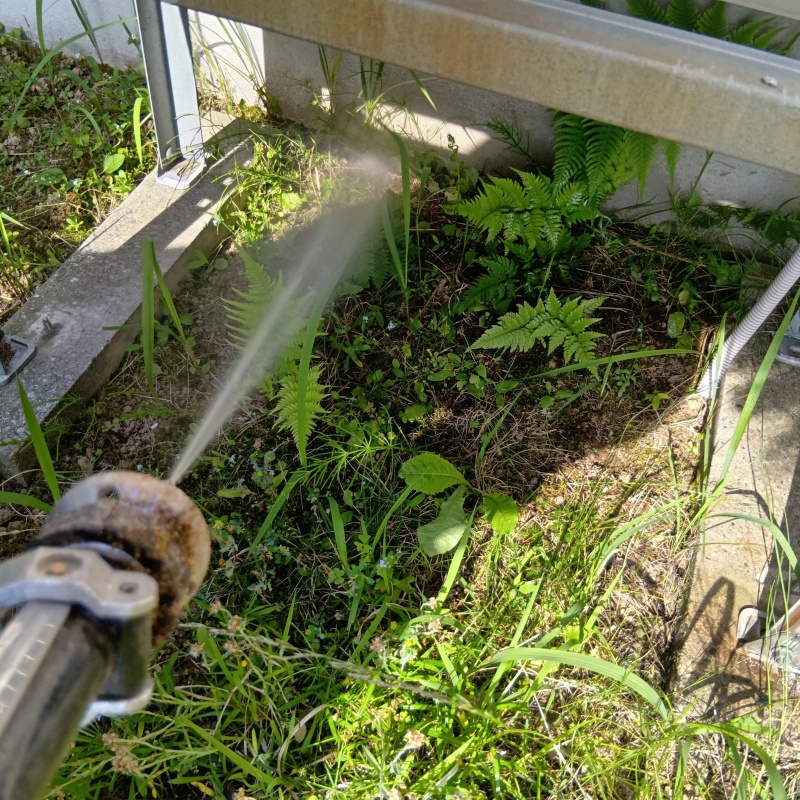 築年数20年のシロアリ駆除の施工事例（富山県中新川郡上市町柿沢新）