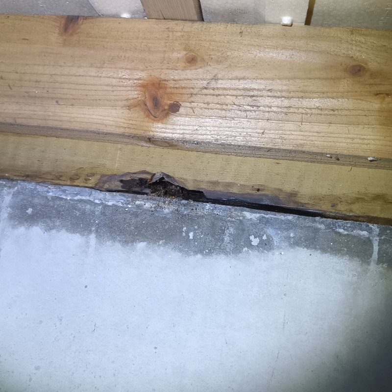 築年数27年のシロアリ駆除の施工事例（栃木県芳賀郡市貝町赤羽）