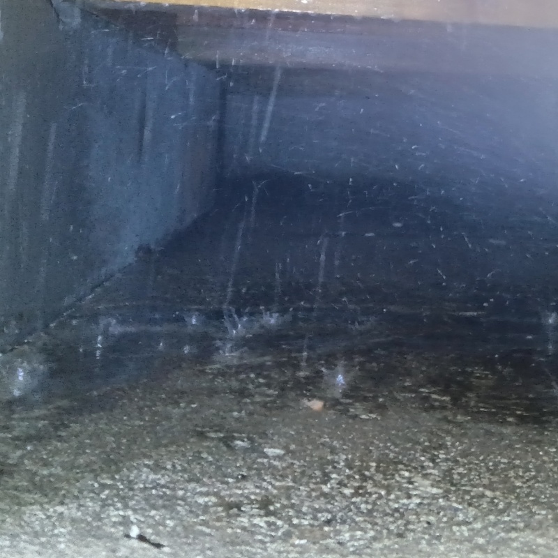 床下の土壌にシロアリ駆除剤を散布した様子