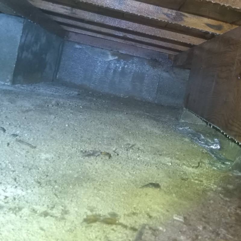 床下の土壌にシロアリ駆除剤を散布した様子