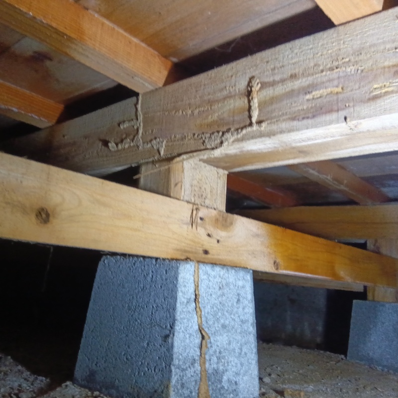 築年数40年のシロアリ駆除の施工事例（岡山県加賀郡吉備中央町上野）
