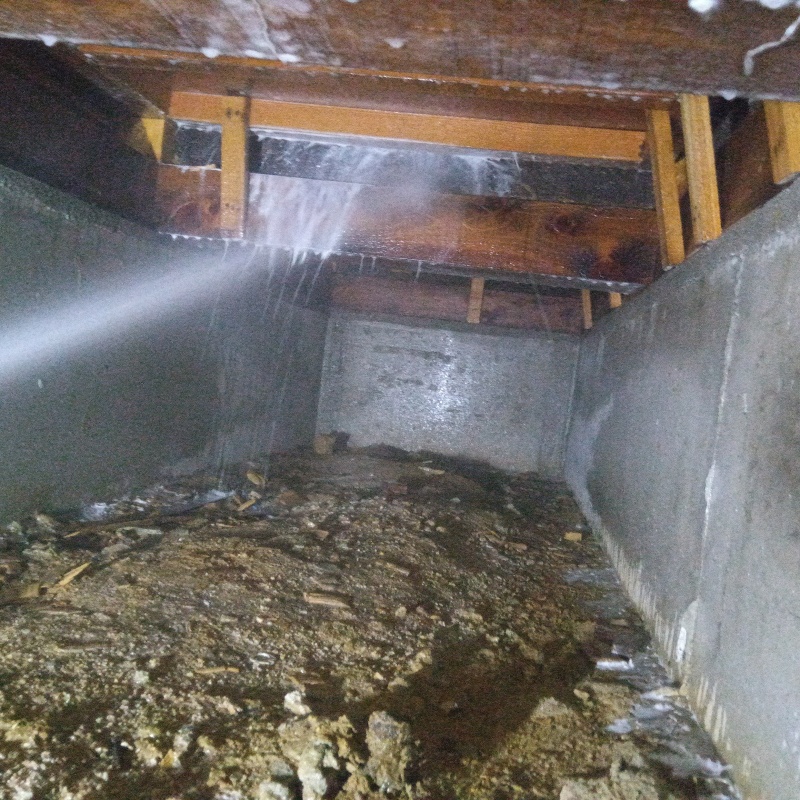 床下の木材にシロアリ駆除剤を散布する様子