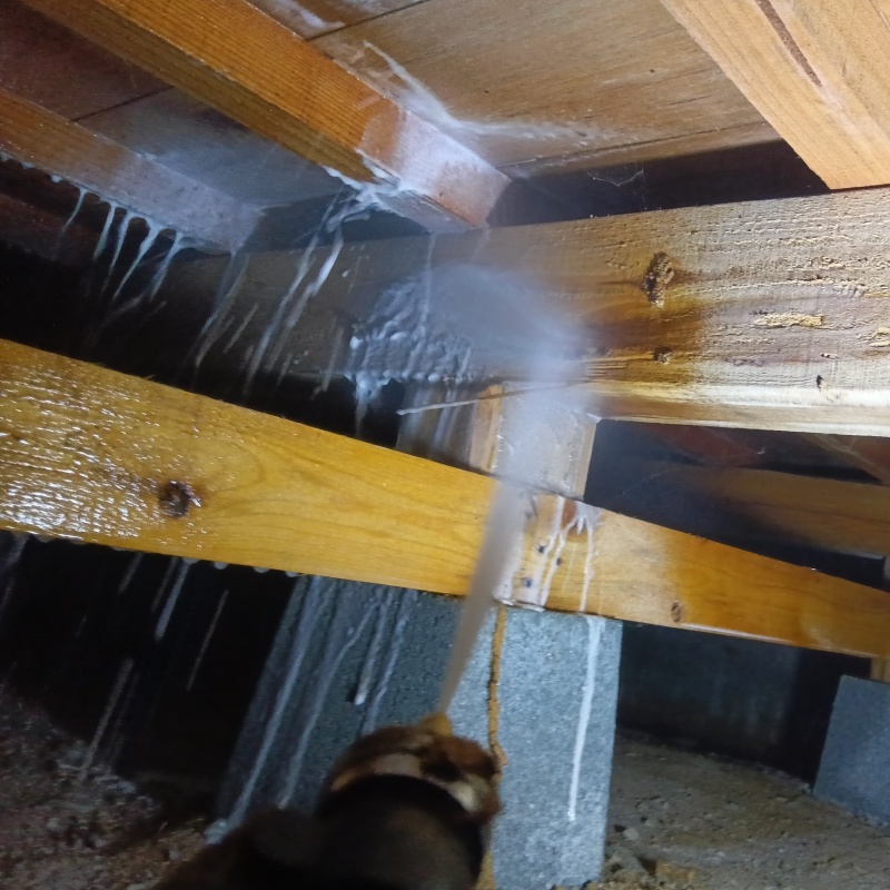 床下の木材にシロアリ駆除剤を散布する様子