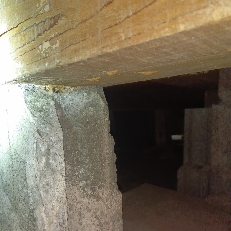 築年数29年のシロアリ駆除の施工事例（新潟県三条市三柳）