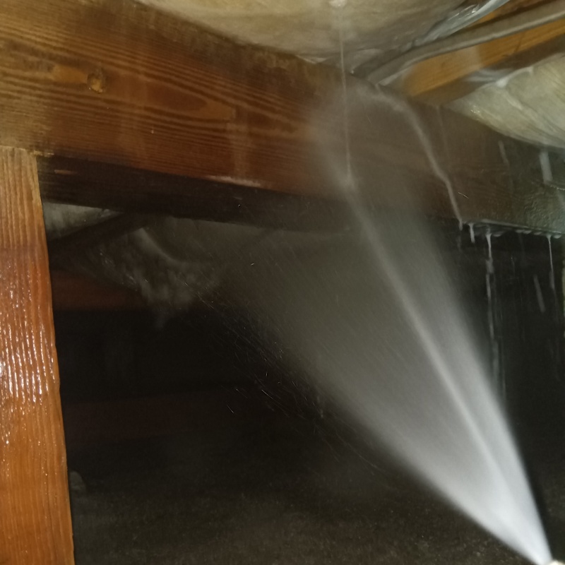 床下の木材にシロアリ駆除剤を散布する様子