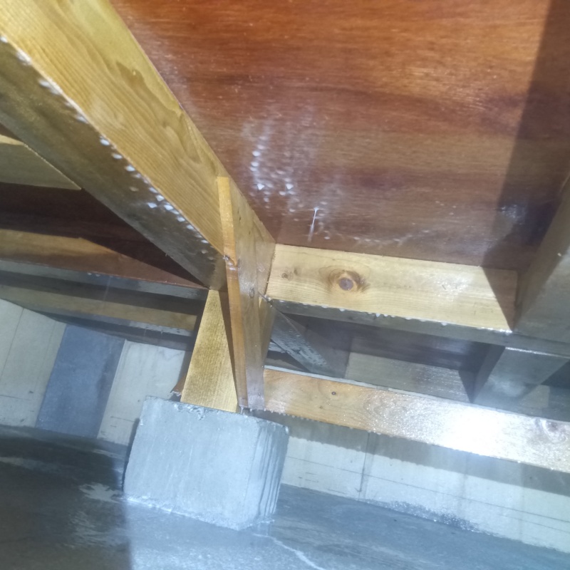 床下の土壌にシロアリ駆除剤を散布した様子