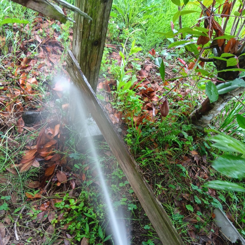 シロアリ駆除の施工事例（福岡県築上郡築上町小山田）