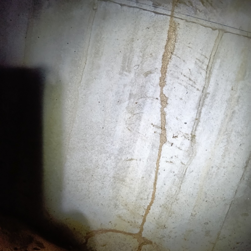 築年数30年のシロアリ駆除の施工事例（石川県小松市今江町）