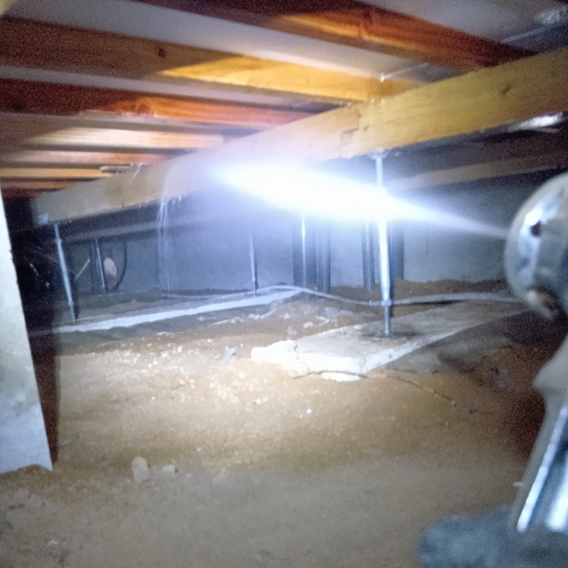 床下の木材にシロアリ駆除剤を散布する様子