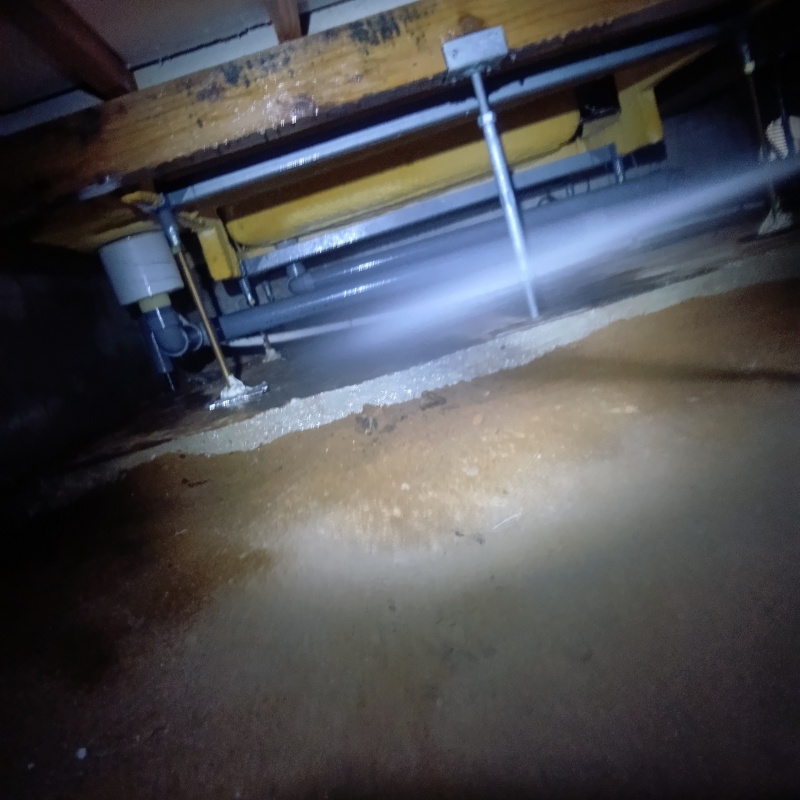 床下の土壌にシロアリ駆除剤を散布する様子