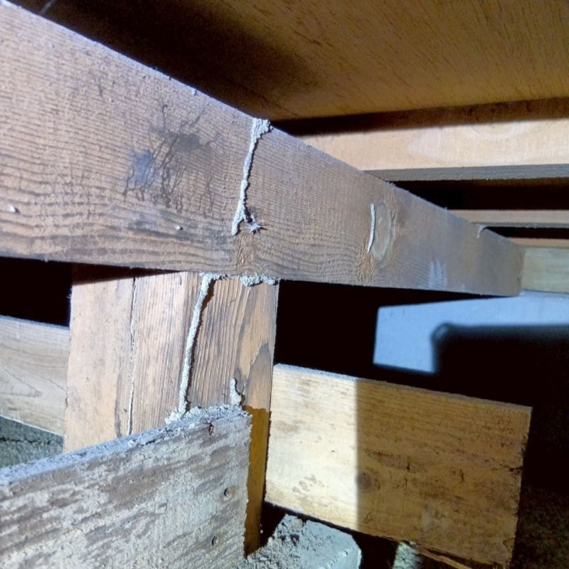 築年数37年のシロアリ駆除の施工事例（愛知県豊橋市大岩町）