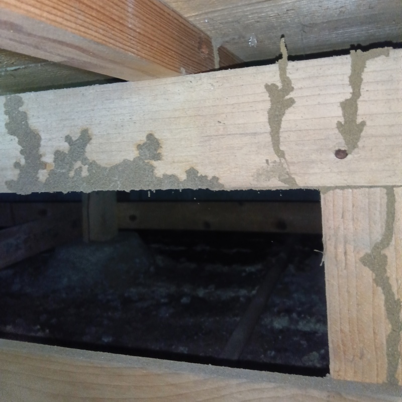 築年数30年のシロアリ駆除の施工事例（神奈川県相模原市中央区陽光台）