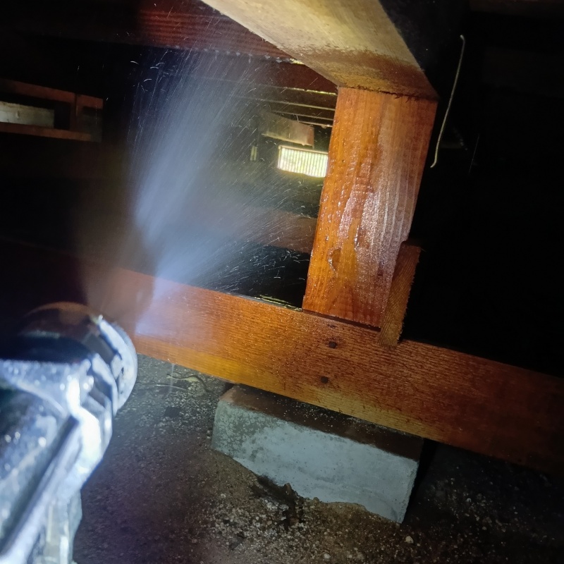 床下の木材にシロアリ駆除剤を散布する様子