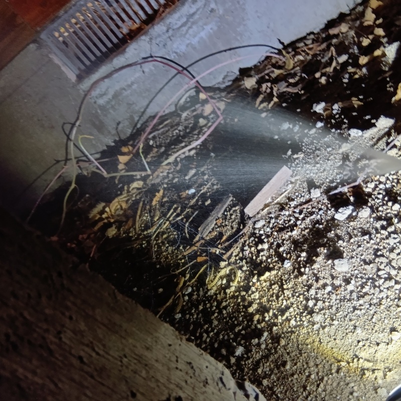 床下の土壌にシロアリ駆除剤を散布する様子