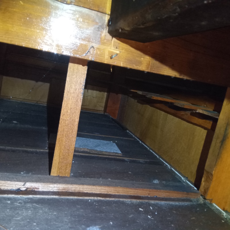 床下の木材にシロアリ駆除剤を散布した様子