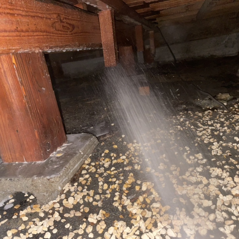 築年数50年のシロアリ駆除の施工事例（滋賀県野洲市行畑）