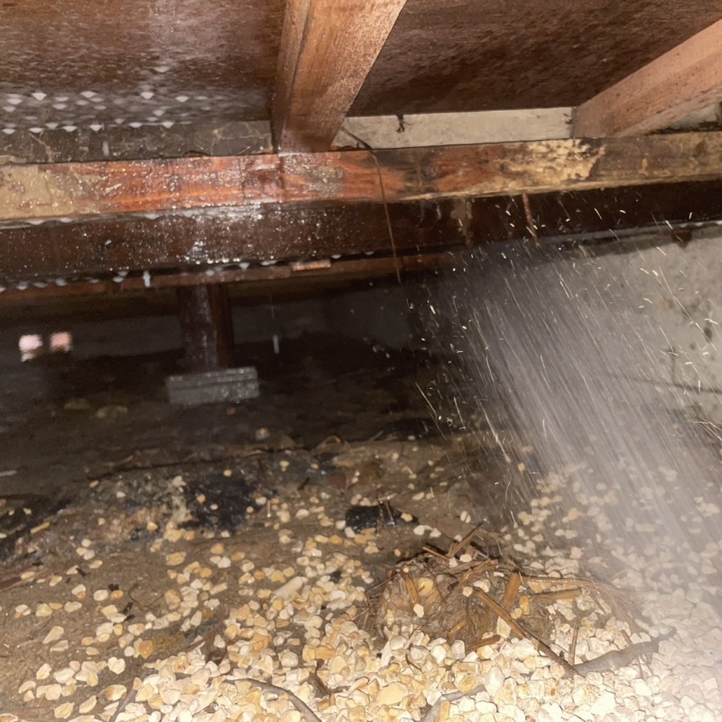 床下の木材にシロアリ駆除剤を散布する様子