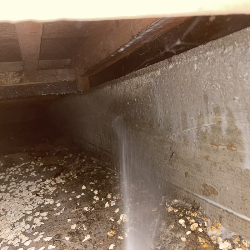 床下の基礎部分にシロアリ駆除剤を散布する様子