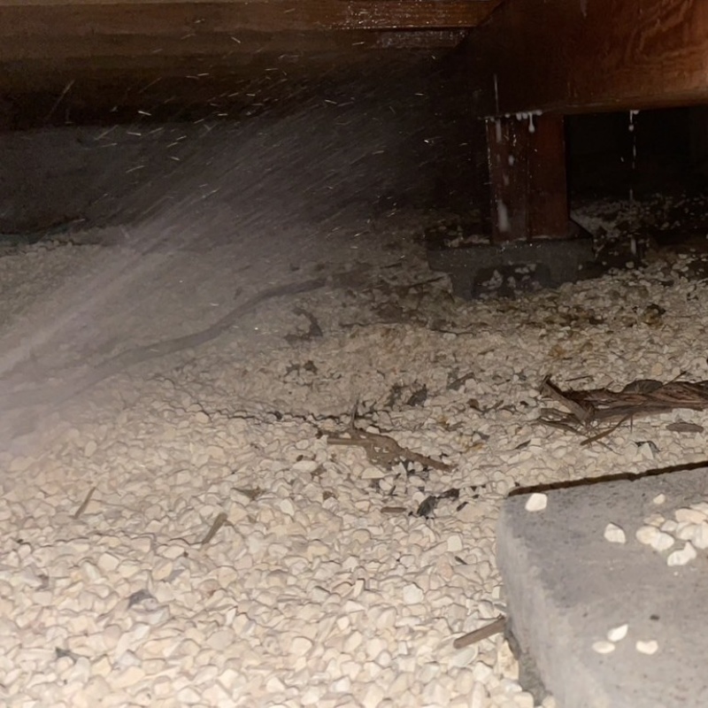 床下の土壌にシロアリ駆除剤を散布する様子