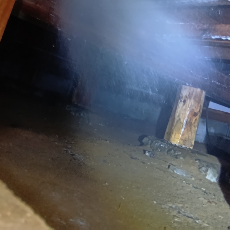 床下の土壌にシロアリ駆除剤を散布する様子