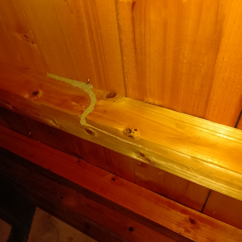 築年数70年のシロアリ駆除の施工事例（徳島県徳島市応神町吉成）