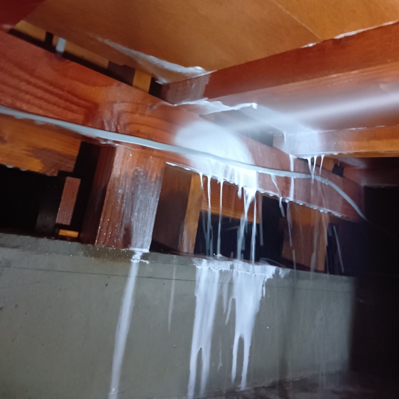 床下の木材にシロアリ駆除剤を散布する様子