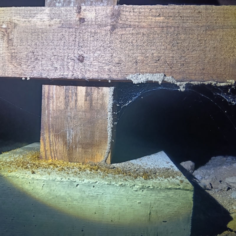 築年数30年のシロアリ駆除の施工事例（山形県米沢市中田町）