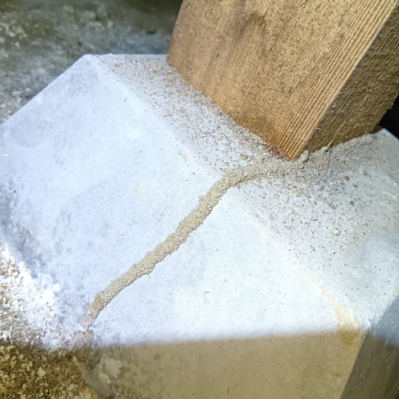 築年数50年のシロアリ駆除の施工事例（石川県野々市市太平寺）