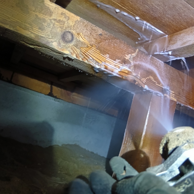 床下の木材にシロアリ駆除剤を散布