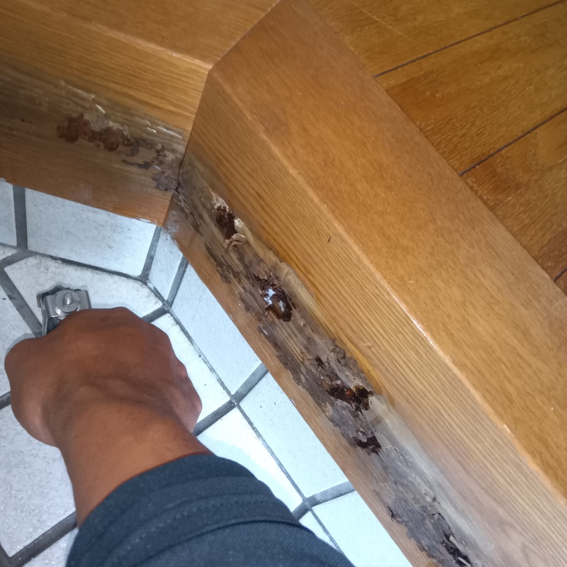 築年数30年のシロアリ駆除の施工事例（山口県下松市東陽）