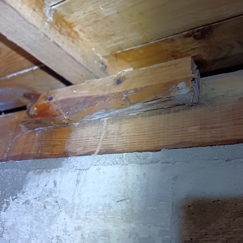 シロアリ駆除の施工事例（福島県西白河郡矢吹町善郷内）