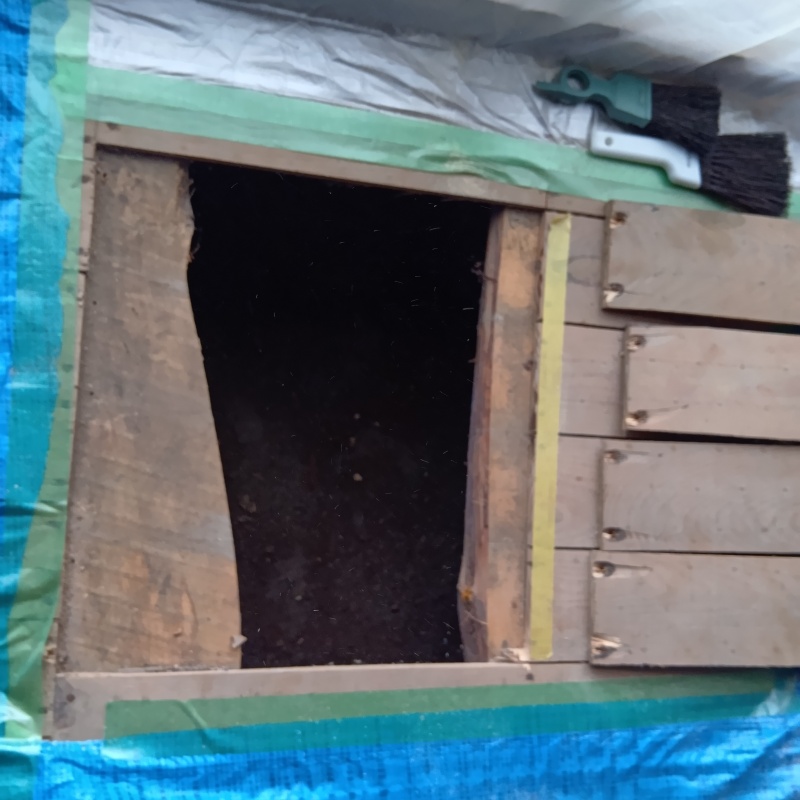 和室の床を切り抜いた様子