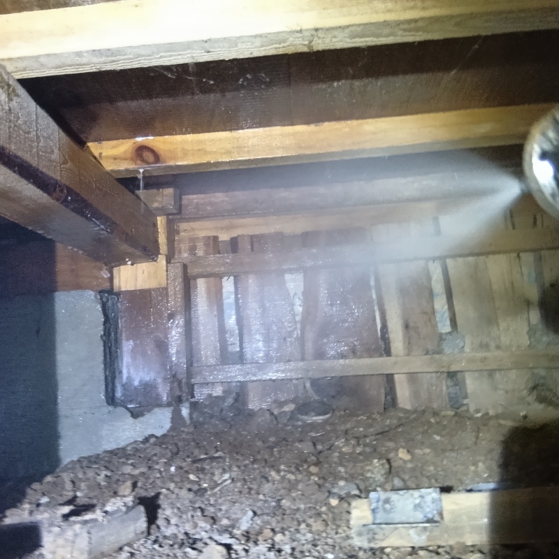 床下の地面にシロアリ駆除剤を散布