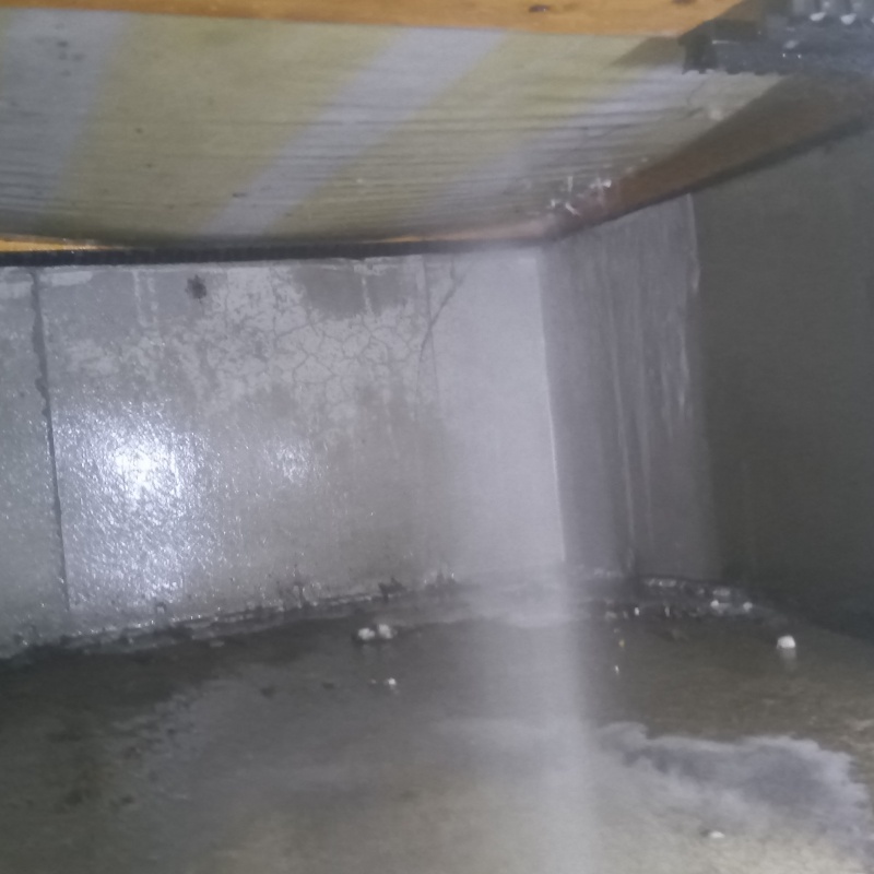 土壌処理が完了した様子