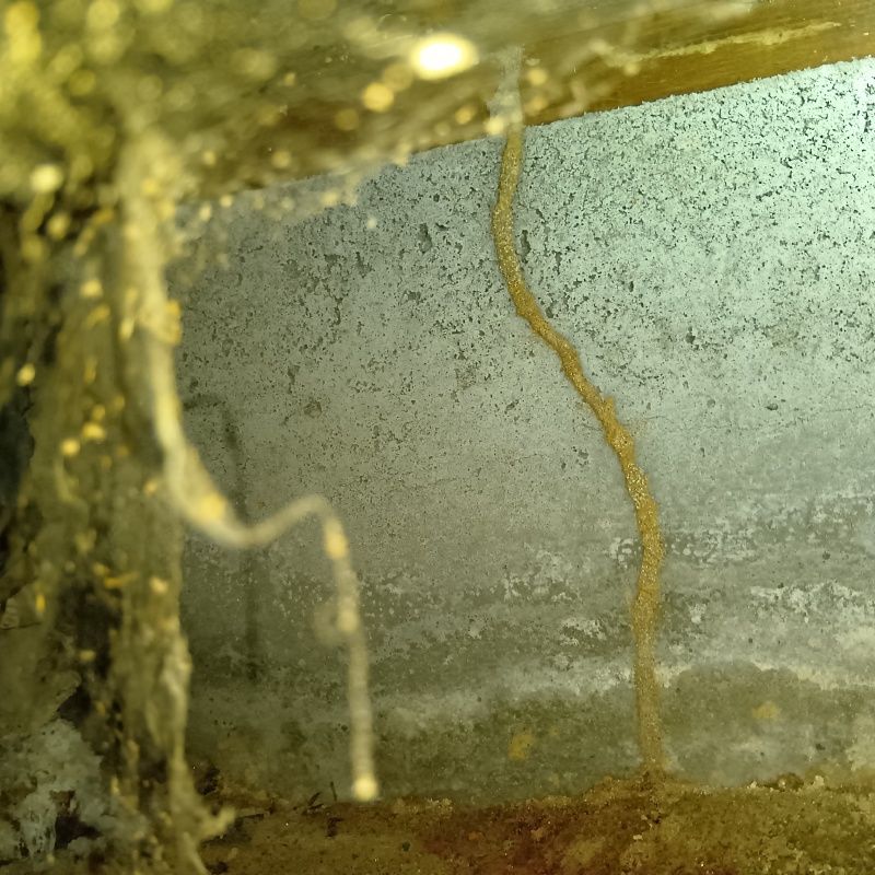 シロアリ駆除の施工事例（愛知県あま市七宝町秋竹）